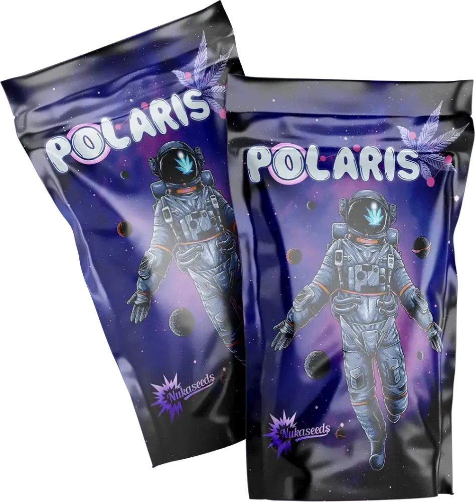 POLARIS - semínka - FEMINIZOVANÝ - 3ks