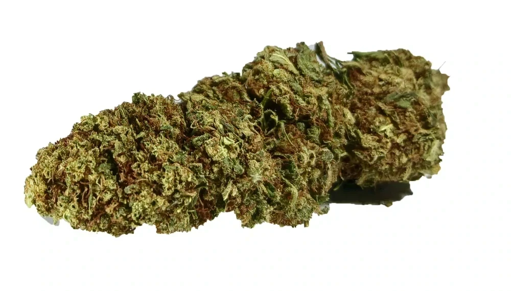 SNOWFLAKE - (INDOOR) - Technické konopí - CANNABIS SATIVA L. INDUSTRIAL HEMP - k dalšímu zpracování - balení 20g
