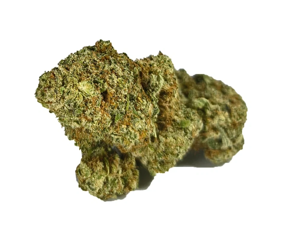HAZE - (INDOOR) - Technické konopí - CANNABIS SATIVA L. INDUSTRIAL HEMP - k dalšímu zpracování - balení 20g