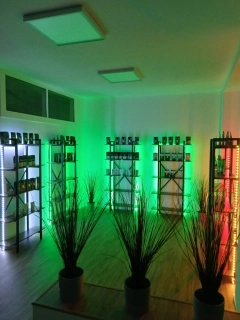 AMSTR SHOP - KAMENNÁ PRODEJNA - BRNO, ÚVOZ 86 