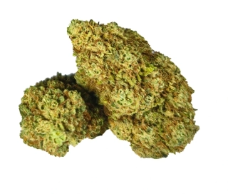 BZ1 - (GLASSHOUSE) - Technické konopí - CANNABIS SATIVA L. INDUSTRIAL HEMP - k dalšímu zpracování - balení 20g