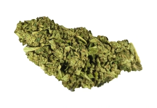 PINEAPPLE - (GLASSHOUSE) - Technické konopí - CANNABIS SATIVA L. INDUSTRIAL HEMP -  k dalšímu zpracování 